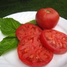 50 Seeds Truckers Favorite Tomato Tomatoe Vegetable Garden Edible Canning Fresh For Garden