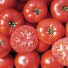 50 Seeds Trophy Tomato Tomatoe Vegetable Garden Edible Canning Fresh For Garden