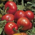 50 Seeds Tribeca Tomato Tomatoe Vegetable Garden Edible Canning Fresh For Garden