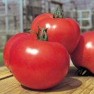 50 Seeds Tough Boy Tomato Tomatoe Vegetable Garden Edible Canning Fresh For Garden