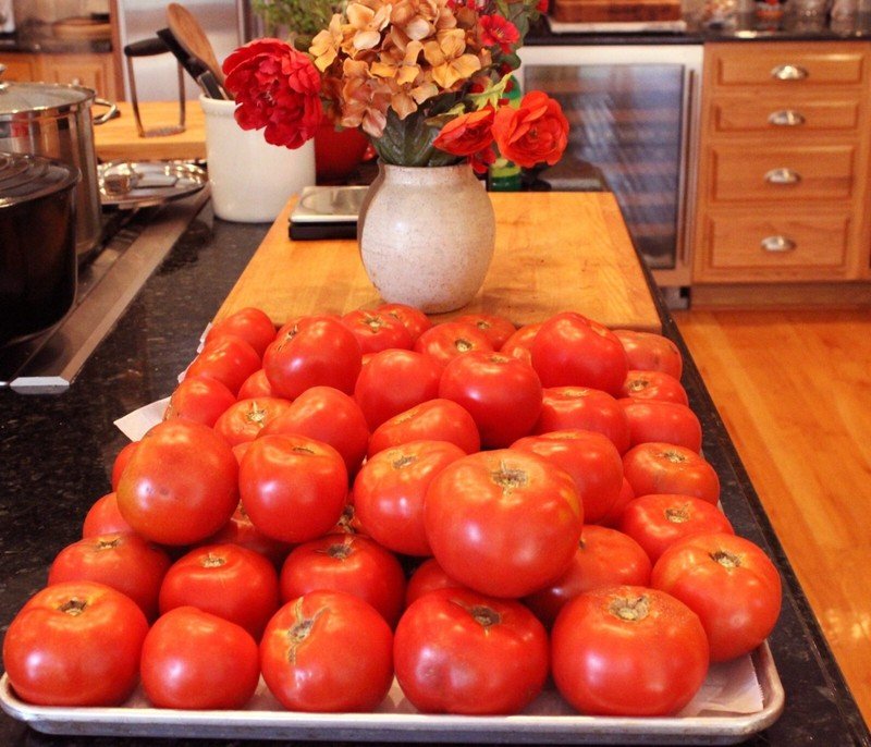 50 Seeds Tocan Tomato Tomatoe Vegetable Garden Edible Canning Fresh For Garden