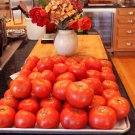 50 Seeds Tocan Tomato Tomatoe Vegetable Garden Edible Canning Fresh For Garden