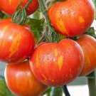 50 Seeds Tigerella Tomato Tomatoe Vegetable Garden Edible Canning Fresh For Garden