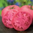 50 Seeds Think Pink Tomato Tomatoe Vegetable Garden Edible Canning Fresh For Garden