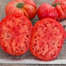50 Seeds Tennessee Britches Tomato Tomatoe Vegetable Garden Edible Canning Fresh For Garden