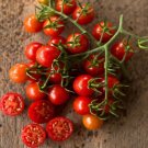 50 Seeds Sweetie Tomato Tomatoe Vegetable Garden Edible Canning Fresh For Garden
