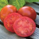 50 Seeds Sweet Seedless Tomato Tomatoe Vegetable Garden Edible Canning Fresh For Garden