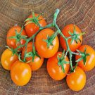 50 Seeds Sweet Orange Tomato Tomatoe Vegetable Garden Edible Canning Fresh For Garden