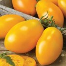 50 Seeds Sweet Golden Roma Tomato Tomatoe Vegetable Garden Edible Canning Fresh For Garden 50 Seeds Sweet Golden Roma Tomato Tomatoe Vegetable Garden Edible Canning Fresh For Garden