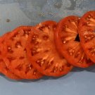 50 Seeds Supertasty Tomato Tomatoe Vegetable Garden Edible Canning Fresh For Garden