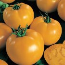 50 Seeds Sunny Boy Tomato Tomatoe Vegetable Garden Edible Canning Fresh For Garden