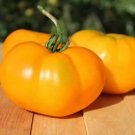 50 Seeds Sunny Blue Ribbon Tomato Tomatoe Vegetable Garden Edible Canning Fresh For Garden 50 Seeds Sunny Blue Ribbon Tomato Tomatoe Vegetable Garden Edible Canning Fresh For Garden