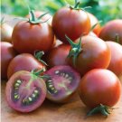 50 Seeds Sunchocola Tomato Tomatoe Vegetable Garden Edible Canning Fresh For Garden