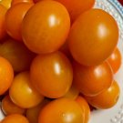 50 Seeds Sun Orange Tomato Tomatoe Vegetable Garden Edible Canning Fresh For Garden 50 Seeds Sun Orange Tomato Tomatoe Vegetable Garden Edible Canning Fresh For Garden