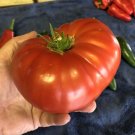 50 Seeds Steak Hoe Tomato Tomatoe Vegetable Garden Edible Canning Fresh For Garden