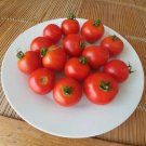 50 Seeds Sparky Xsl Tomato Tomatoe Vegetable Garden Edible Canning Fresh For Garden