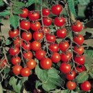 50 Seeds Small Fry Tomato Tomatoe Vegetable Garden Edible Canning Fresh For Garden