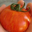 50 Seeds Skyreacher Tomato Tomatoe Vegetable Garden Edible Canning Fresh For Garden
