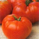 50 Seeds Shilling Giant Tomato Tomatoe Vegetable Garden Edible Canning Fresh For Garden