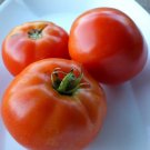 50 Seeds Seattles Best Of All Tomato Tomatoe Vegetable Garden Edible Canning Fresh For Garden