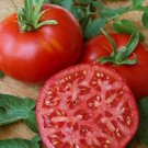 50 Seeds Santa Clara Canner Tomato Tomatoe Vegetable Garden Edible Canning Fresh For Garden