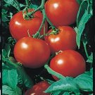 50 Seeds Rutgers Select Tomato Tomatoe Vegetable Garden Edible Canning Fresh For Garden