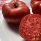 50 Seeds Rutgers Improved Ps Tomato Tomatoe Vegetable Garden Edible Canning Fresh For Garden
