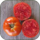 50 Seeds Rutgers 39 Tomato Tomatoe Vegetable Garden Edible Canning Fresh For Garden