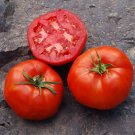 50 Seeds Rutgers Tomato Tomatoe Vegetable Garden Edible Canning Fresh For Garden 50 Seeds Rutgers Tomato Tomatoe Vegetable Garden Edible Canning Fresh For Garden