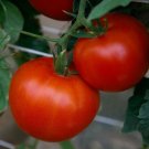 50 Seeds Rubee Prize Tomato Tomatoe Vegetable Garden Edible Canning Fresh For Garden