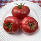 50 Seeds Rose Tomato Tomatoe Vegetable Garden Edible Canning Fresh For Garden 50 Seeds Rose Tomato Tomatoe Vegetable Garden Edible Canning Fresh For Garden