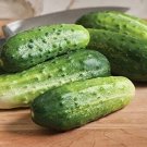 25 Seeds Little Leaf H19 Cucumbers Hybrid Cucks Vegetable Planting Garden Fresh For Garden