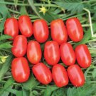 50 Seeds Red Candy Tomato Tomatoe Vegetable Garden Edible Canning Fresh For Garden 50 Seeds Red Candy Tomato Tomatoe Vegetable Garden Edible Canning Fresh For Garden