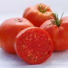 50 Seeds Red Brandywine Tomato Tomatoe Vegetable Garden Edible Canning Fresh For Garden