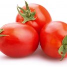 50 Seeds Quimbaya Tomato Tomatoe Vegetable Garden Edible Canning Fresh For Garden