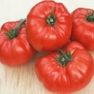50 Seeds Querida Tomato Tomatoe Vegetable Garden Edible Canning Fresh For Garden