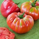 50 Seeds Queens Tomato Tomatoe Vegetable Garden Edible Canning Fresh For Garden
