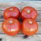 50 Seeds Poseidon 43 Tomato Tomatoe Vegetable Garden Edible Canning Fresh For Garden