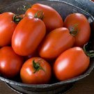 50 Seeds Plum Regal Tomato Tomatoe Vegetable Garden Edible Canning Fresh For Garden