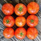 50 Seeds Pixie Stripe Tomato Tomatoe Vegetable Garden Edible Canning Fresh For Garden