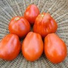 50 Seeds Piriform Tomato Tomatoe Vegetable Garden Edible Canning Fresh For Garden