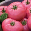 50 Seeds Pink Wonder Tomato Tomatoe Vegetable Garden Edible Canning Fresh For Garden