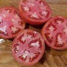50 Seeds Dixie Red Tomato Hybrid Tomatoe Vegetable Garden Edible Canning Fresh For Garden 50 Seeds Dixie Red Tomato Hybrid Tomatoe Vegetable Garden Edible Canning Fresh For Garden