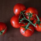 50 Seeds Cold Set Tomato Tomatoe Vegetable Garden Edible Canning Fresh For Garden