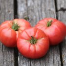 50 Seeds Pink Beauty Tomato Tomatoe Vegetable Garden Edible Canning Fresh For Garden 50 Seeds Pink Beauty Tomato Tomatoe Vegetable Garden Edible Canning Fresh For Garden