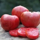 50 Seeds Perfectly Pink Tomato Tomatoe Vegetable Garden Edible Canning Fresh For Garden