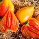 50 Seeds Orange Oxheart Tomato Tomatoe Vegetable Garden Edible Canning Fresh For Garden