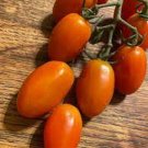 50 Seeds Napa Grape Tomato Tomatoe Vegetable Garden Edible Canning Fresh For Garden