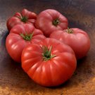 50 Seeds Mrs Maxwells Big Italian Tomato Tomatoe Vegetable Garden Edible Fresh For Garden
