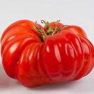 50 Seeds Mr Ugly Tomato Tomatoe Vegetable Garden Edible Canning Fresh For Garden